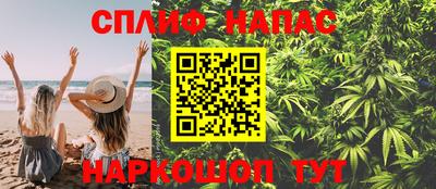 СК Канаш