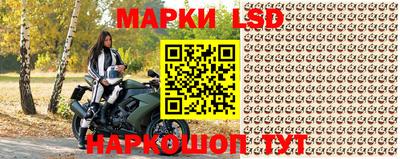 СК Канаш