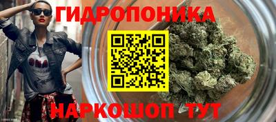 скорость Камышлов