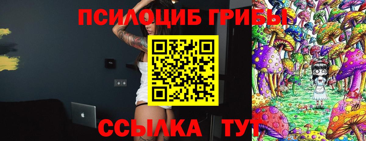 Галлюциногенные грибы Psilocybe  Вход с VPN  Чебаркуль 